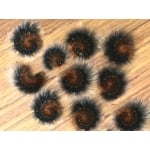 Garden Tiger caja Woolly Bears. 10 Larvae